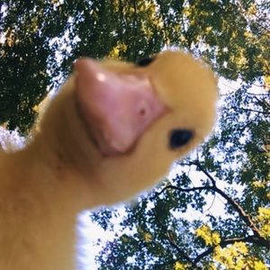 Meet your Posher, Melina